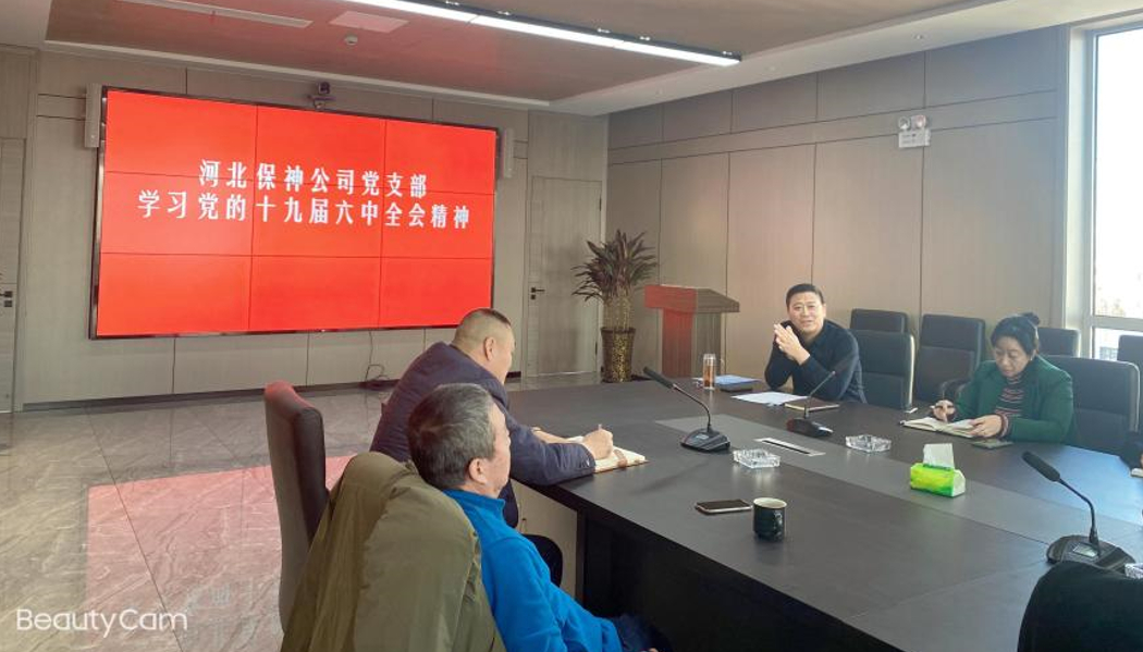 公司党支部学习党的十九届六中全会精神