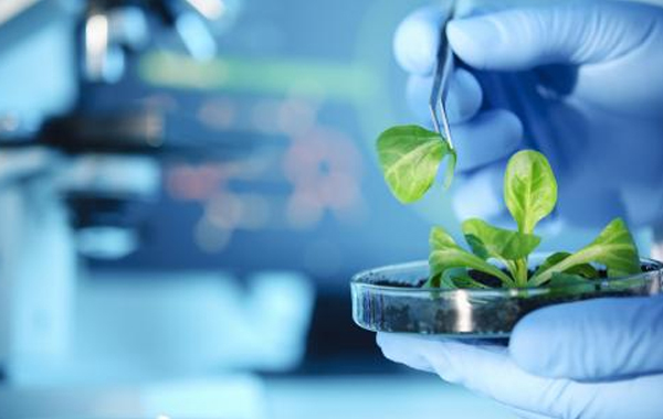生物科技开发